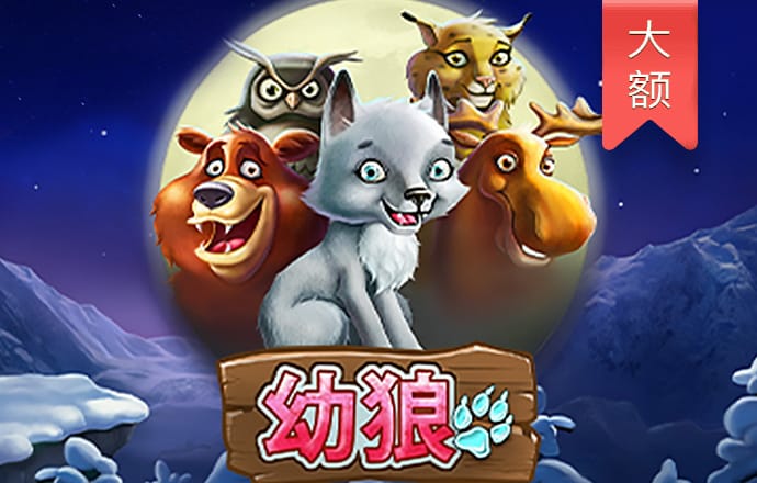金沙9570手机版下载